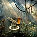 9_Teo-Chin-Leong-Mangrove-Fisherman_LoRes.jpg