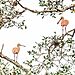 Víťaz Mangroves And Wildlife: Colhereiro - Priscila Forone, Brazília