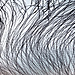 © Kathryn Cooper, United Kingdom, Shortlist, Professional competition, Wildlife & Nature, Sony World Photography Awards 2024 .jpg