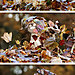 autumn-animals-2__880-2.jpg
