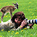 animals-with-camera-helping-photographers-7__880.jpg