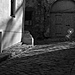 DSCF2282.jpg