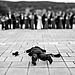 funny-crazy-wedding-photographers-behind-the-scenes-42-57751a29719d5__700.jpg