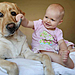 cute-big-dogs-and-babies-32.jpg
