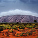 landscape-nature-photography-australia-julie-fletcher-1.jpg