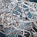 OM-1_Hannu_Huhtamo_snow crystals_focus_stacking_FULL RES-1.jpg