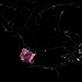 © Eva Berler, Greece, Finalist, Professional competition, Wildlife & Nature, Sony World Photography Awards 2024.jpg