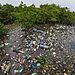 Víťaz Mangroves a ochrana: Mangrovy vs. Plasty – Srikanth Mannepuri, India