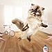 funny-ads-with-animals-13.jpg