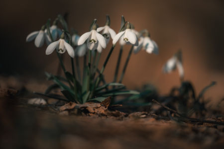 Vítanie jari s Fujifilm X-E5