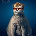 funny-ads-with-animals-18.jpg