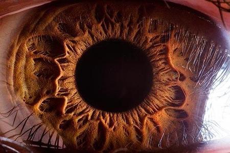 Close up ľudského oka