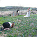 funny-crazy-wedding-photographers-behind-the-scenes-28-5774e2e4e7449__700.jpg