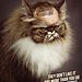 funny-ads-with-animals-36.jpg