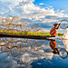 Fishing-by-caongocdiem7879-Vietnam-5e86083fa1908__880.jpg