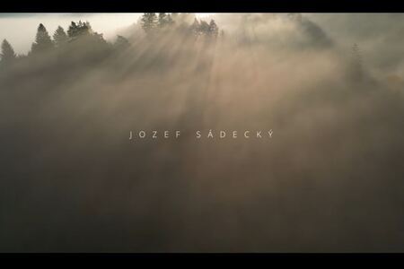 Kuvičok vrabči - Tichý lovec lesa