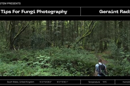 Top Tips for Fungi Photography with OM SYSTEM Ambassador Geraint