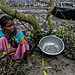Miestna žena pestuje sadenice mangrovníkov – Sankhadeep Banerjee, India