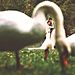 15-Of-The-Most-Stunning-Wedding-Photos-Youll-Ever-See-5880c419205d9__880.jpg