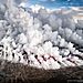 national-geographic-nature-photographer-of-the-year-2018-winner-141-5c0a36aa874d3__880.jpg