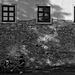DSCF2294.jpg