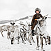 Tsaatan, Mongolsko-10.jpg