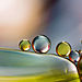 I-take-Abstract-Macro-pictures-using-Oil-and-Water-57e510cc2b76c__880.jpg