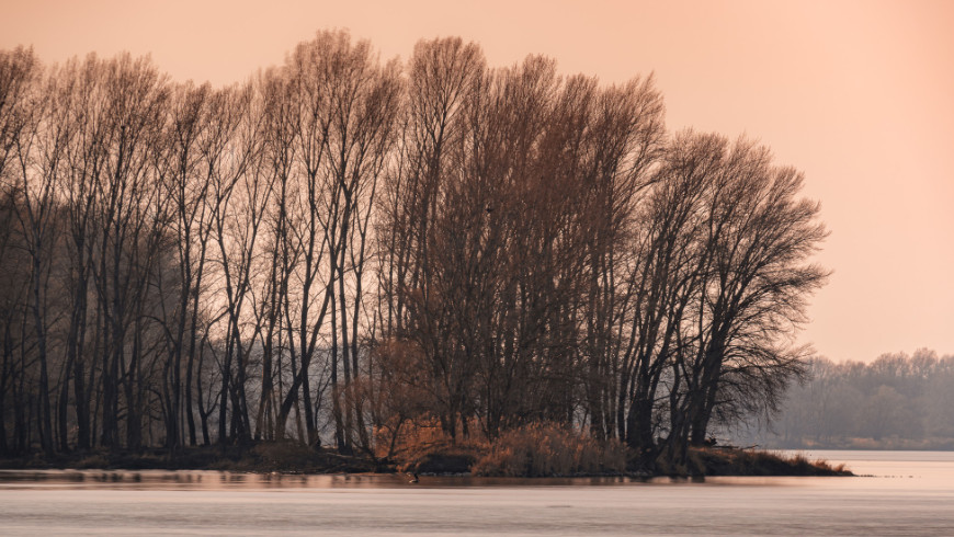 Fotostĺpček 11/2026