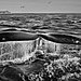 sebastiao-salgado-genesis-whale.jpg