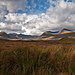 Skotsko2012-9764.jpg