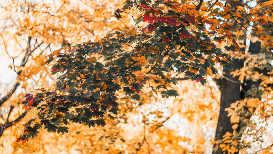 Fotostĺpček 45/2025