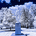 IR260094-Edit-2.jpg