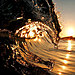 shorebreak-wave-photography-clark-little-24.jpg