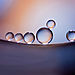 I-take-Abstract-Macro-pictures-using-Oil-and-Water-57e510db2217e__880.jpg