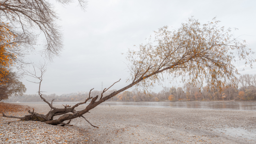 Fotostĺpček 46/2025