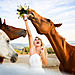 15-Of-The-Most-Stunning-Wedding-Photos-Youll-Ever-See-5880c85f4c099__880.jpg