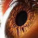 eye-macro-photo-8.jpg