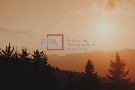 The Auto ISO Mistake Ruining Your Image Quality