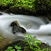 _I3C0723.jpg