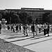 DSCF2239.jpg