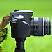 animals-with-camera-helping-photographers-3__880.jpg