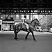 street-photos-new-york-1950s-vivian-mayer-10.jpg