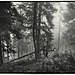 Pod Minčolom_Lučanská Malá Fatra (13).jpg