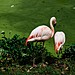 DSC00122-680x451.jpg