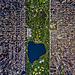 Central Park, New York City.jpg