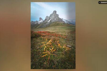 Why Point Color is My All-Time Favorite Coloring Tool in Photosh