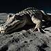 Obrázok krokodíla na Mesiaci vygenerovaný AI. | Leonardo AI.jpg