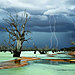 landscape-nature-photography-australia-julie-fletcher-3.jpg
