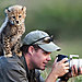 animals-with-camera-helping-photographers-12__880.jpg