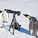 animals-with-camera-helping-photographers-5__880.jpg